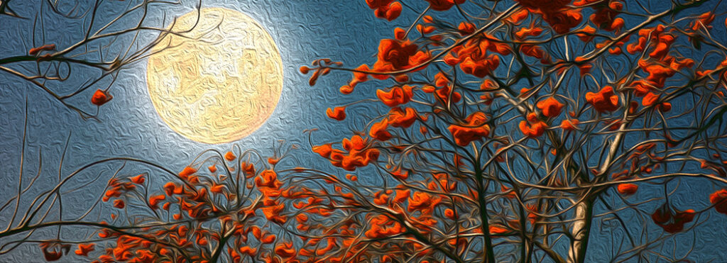 The Moonlit Walk