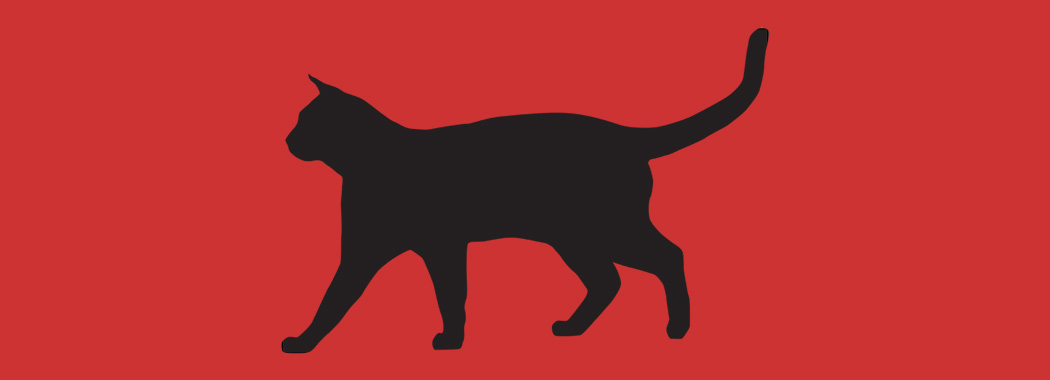 The Cat that Never Came Back