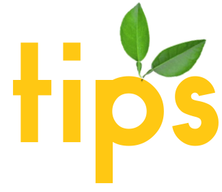 Tips