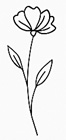 Flower illustration