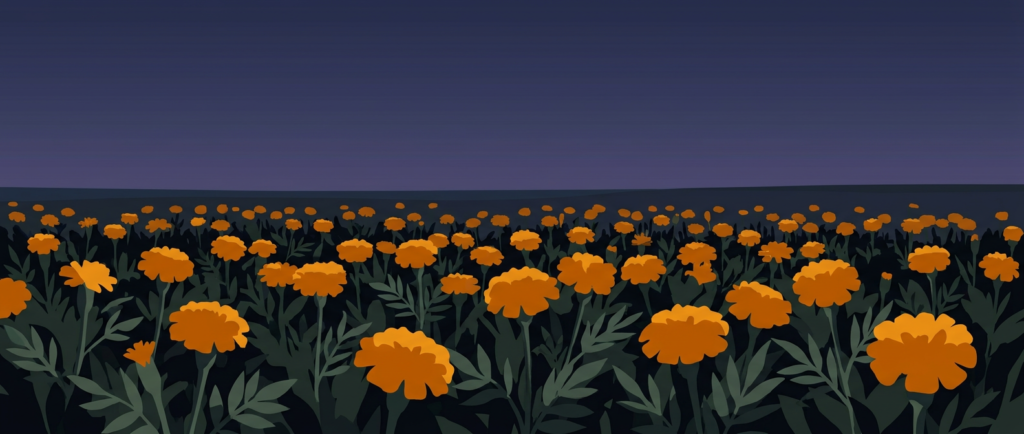Ground-level illustration of a bed of marigolds catching the last light beneath a deepening dusk sky.