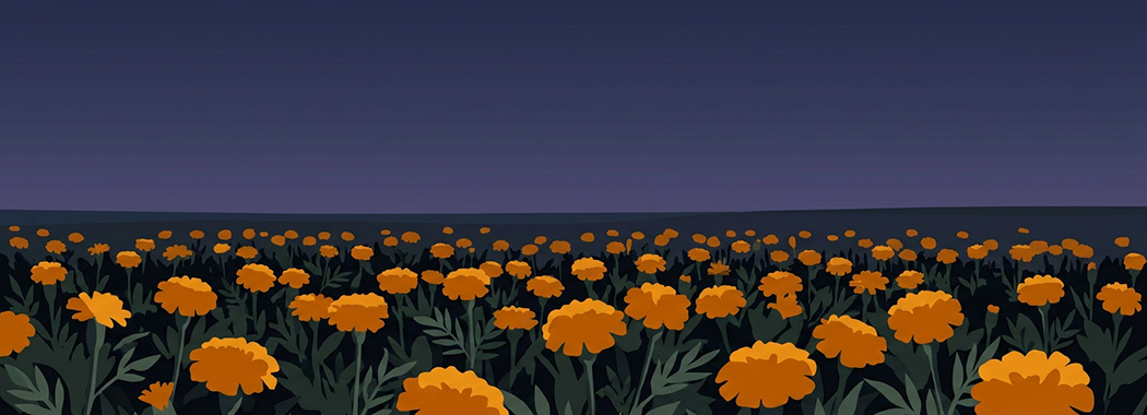 Ground-level illustration of a bed of marigolds catching the last light beneath a deepening dusk sky.