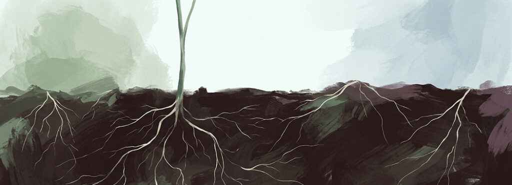 Cross-section illustration of dark soil threaded with pale roots, a single green stem rising into cool light above