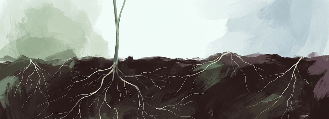 Cross-section illustration of dark soil threaded with pale roots, a single green stem rising into cool light above