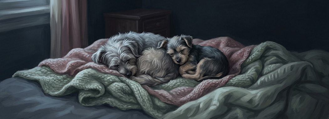 Illustration of two small dogs curled asleep together on a rumpled blanket in faint moonlight