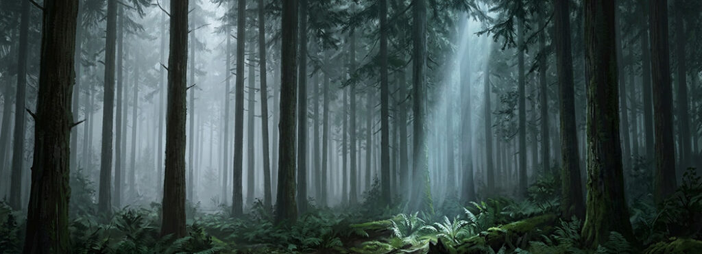 Illustration of a misty forest interior with a narrow shaft of pale light cutting down through the canopy to the floor