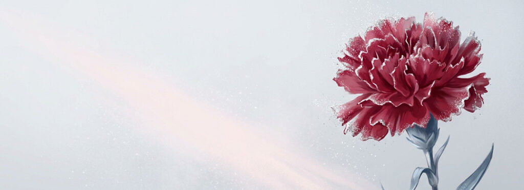 Illustration of a crimson carnation dusted with silver particles beside a pale streak of light dissolving into mist