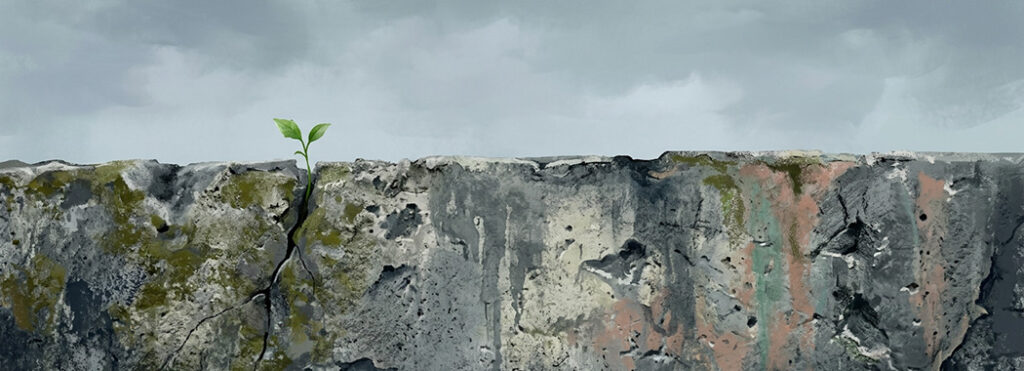 Illustration of a green shoot pushing up through a crack in a weathered concrete slab