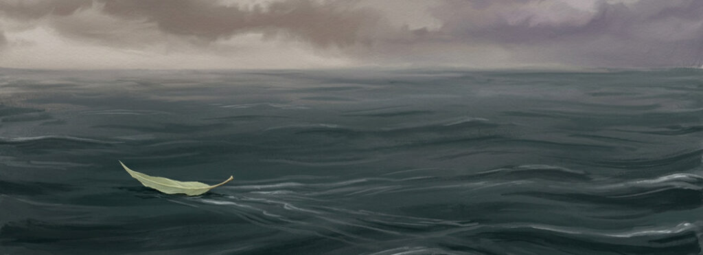 Illustration of a single willow leaf floating on dark moving water with faint ripples trailing behind it