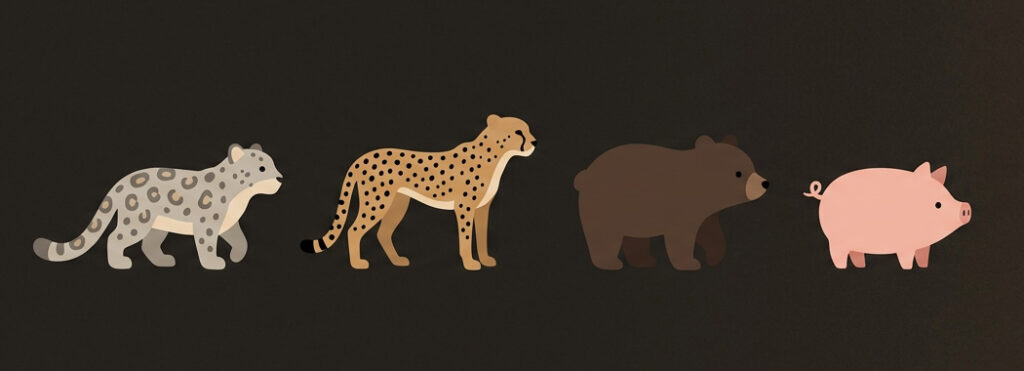 Illustration of a snow leopard, cheetah, bear cub, and pig in a row on a dark warm background
